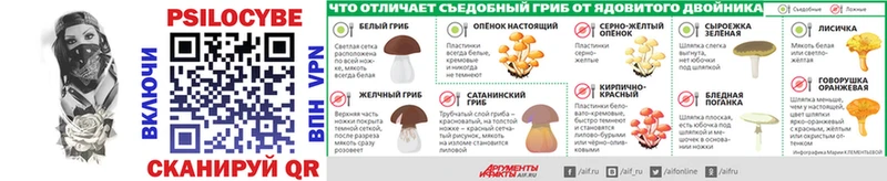 Галлюциногенные грибы Psilocybe  mega tor  это как зайти  Истра 